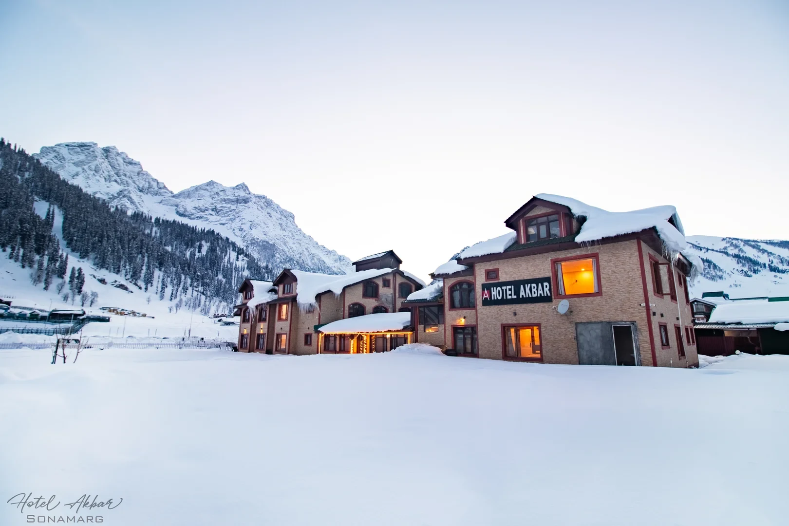 About Our Hotel